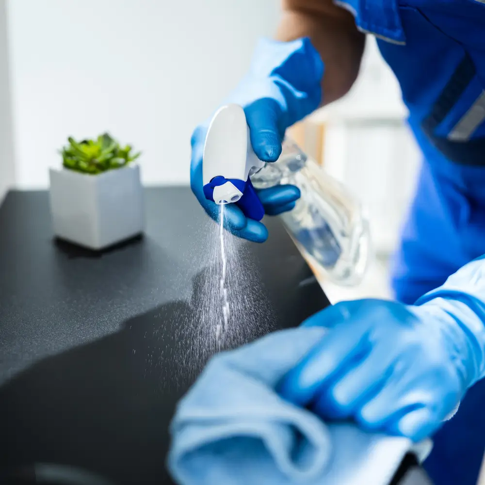 Service de ménage professionnel